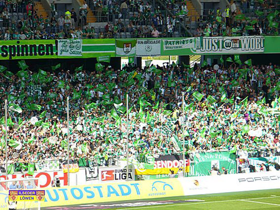VfL Wolfsburg vs Werder Bremen (5-1) (20)