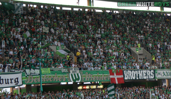 VfL Wolfsburg vs VfB Stuttgart (2-0) (6)
