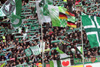 VfL Wolfsburg vs 1. FSV Mainz 05 (3-3)