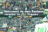 VfL Wolfsburg vs 1. FC Nürnberg (2-3)