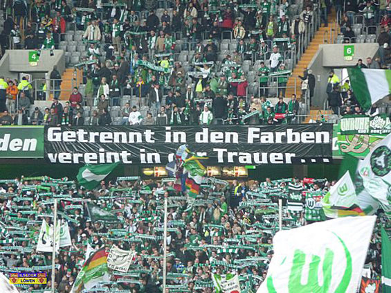 VfL Wolfsburg vs 1. FC Nürnberg (2-3) (3)