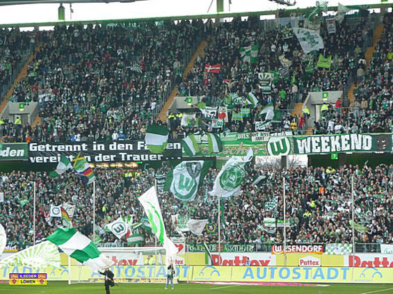VfL Wolfsburg vs 1. FC Nürnberg (2-3) (7)