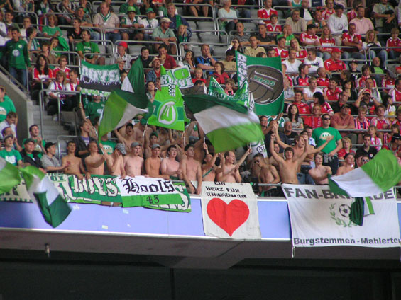 FC Bayern München vs VfL Wolfsburg (3-0) (6)