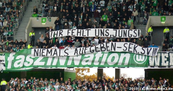 VfL Wolfsburg vs VfB Stuttgart (2-0) (6)