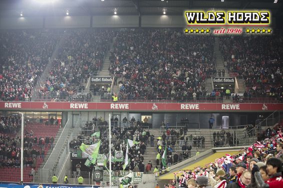 1. FC Köln vs VfL Wolfsburg (1-1) (1)
