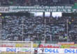 VfL Wolfsburg vs TSG Hoffenheim (2-2)