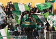 1. FSV Mainz 05 vs VfL Wolfsburg (0-1)