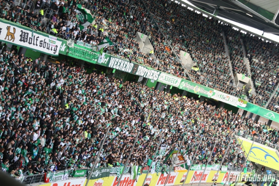 VfL Wolfsburg vs 1. FC Nürnberg (1-2) (7)