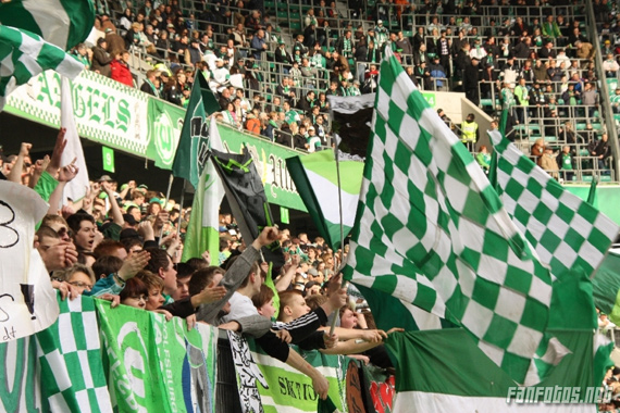 VfL Wolfsburg vs 1. FC Nürnberg (1-2) (9)