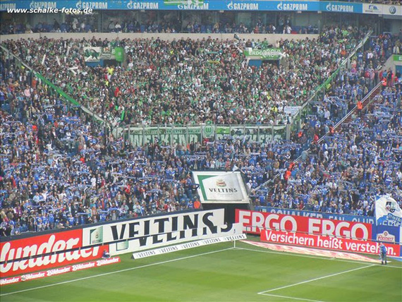 FC Schalke 04 vs VfL Wolfsburg (1-0) (3)