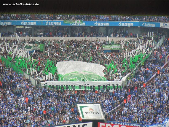 FC Schalke 04 vs VfL Wolfsburg (1-0) (5)