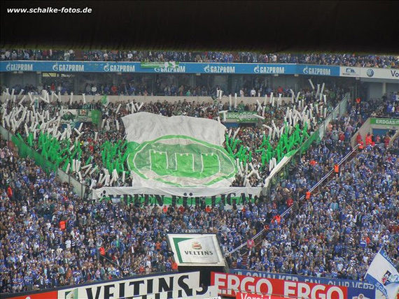 FC Schalke 04 vs VfL Wolfsburg (1-0) (6)