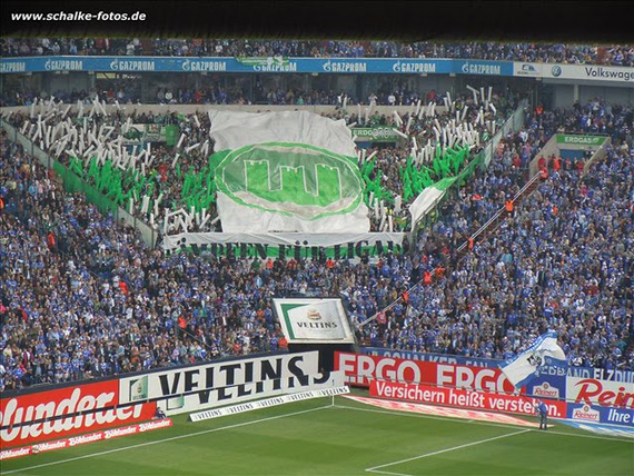 FC Schalke 04 vs VfL Wolfsburg (1-0) (7)
