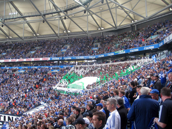 FC Schalke 04 vs VfL Wolfsburg (1-0) (14)