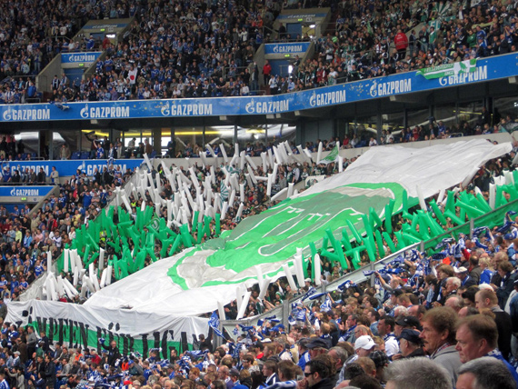FC Schalke 04 vs VfL Wolfsburg (1-0) (16)