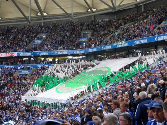 FC Schalke 04 vs VfL Wolfsburg (1-0) (17)