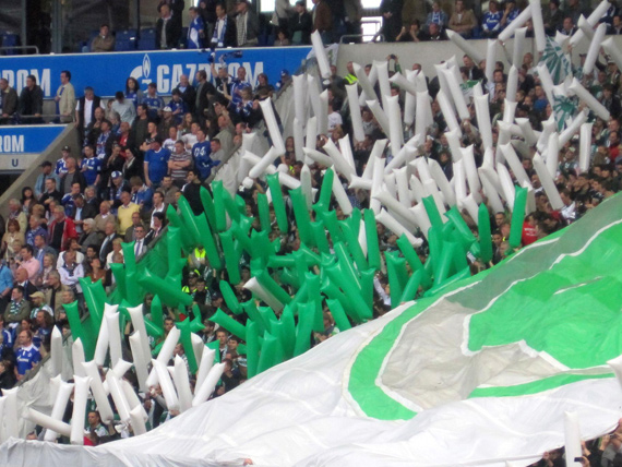 FC Schalke 04 vs VfL Wolfsburg (1-0) (19)