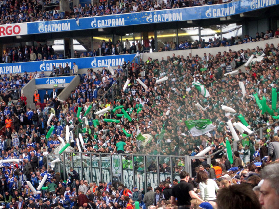 FC Schalke 04 vs VfL Wolfsburg (1-0) (24)
