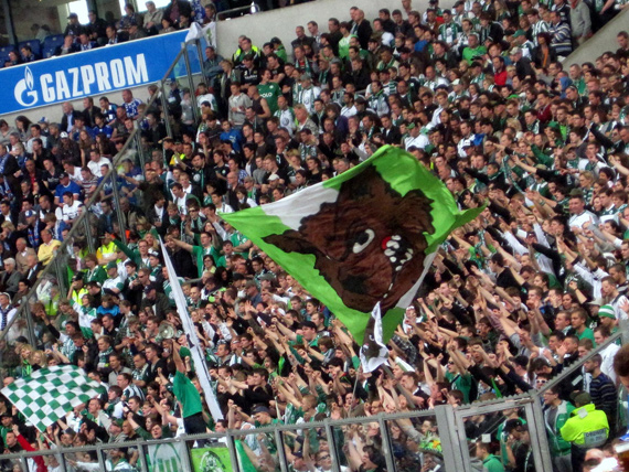 FC Schalke 04 vs VfL Wolfsburg (1-0) (25)