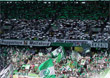 VfL Wolfsburg vs 1. FC Köln (4-1)