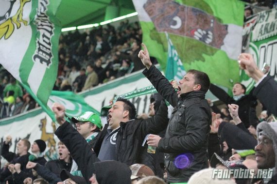VfL Wolfsburg vs VfB Stuttgart (1-0) (12)
