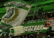 VfL Wolfsburg vs 1. FC Köln (1-0)
