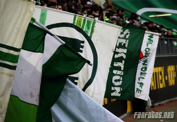 VfL Wolfsburg vs 1. FC Köln (1-0) (5)