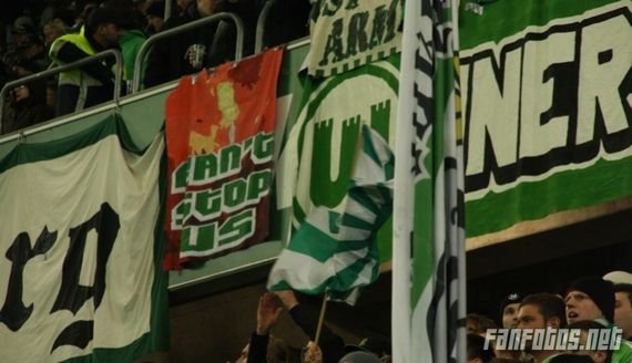 VfL Wolfsburg vs 1. FC Köln (1-0) (8)