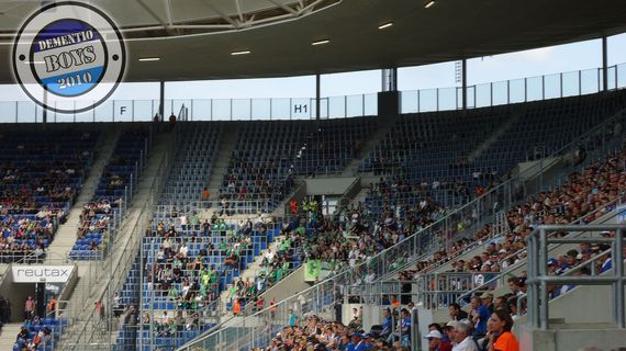 TSG Hoffenheim vs VfL Wolfsburg (3-1) (1)