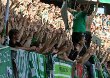 VfL Wolfsburg vs 1. FC Kaiserslautern (1-0)