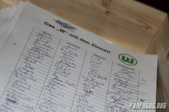 VfL Wolfsburg vs 1. FC Nürnberg (2-1) (10)