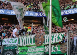 Hamburger SV vs VfL Wolfsburg (1-3)