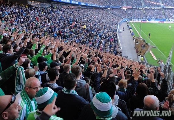 Hamburger SV vs VfL Wolfsburg (1-3) (3)