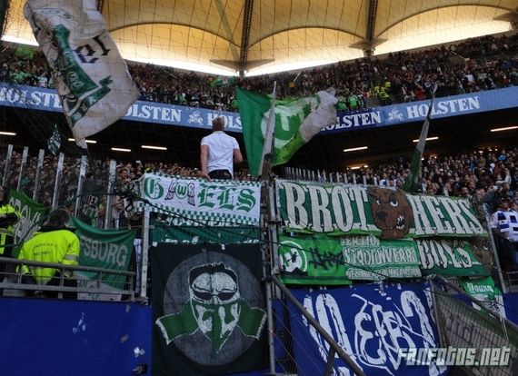 Hamburger SV vs VfL Wolfsburg (1-3) (7)