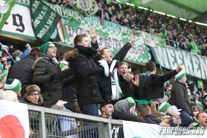 VfL Wolfsburg vs TSG Hoffenheim (3-0) (9)