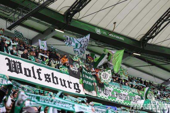 VfL Wolfsburg vs VfB Stuttgart (3-1) (7)