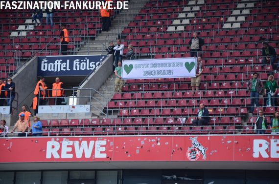 1. FC Köln vs VfL Wolfsburg (2-2) (3)