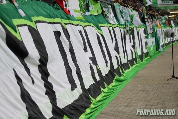 VfL Wolfsburg vs SC Freiburg (1-0) (13)
