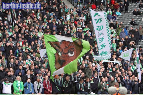 Hertha BSC vs VfL Wolfsburg (1-1) (2)