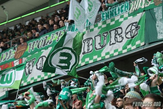 VfL Wolfsburg vs SV Darmstadt 98 (1-1) (5)