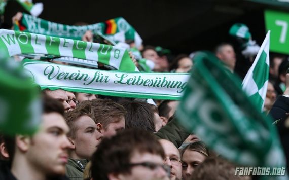 VfL Wolfsburg vs SV Darmstadt 98 (1-1) (15)