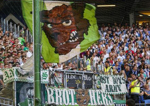 Hamburger SV vs VfL Wolfsburg (0-1)