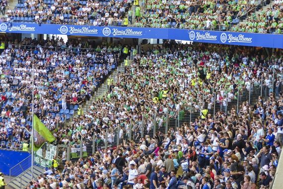 Hamburger SV vs VfL Wolfsburg (0-1) (1)