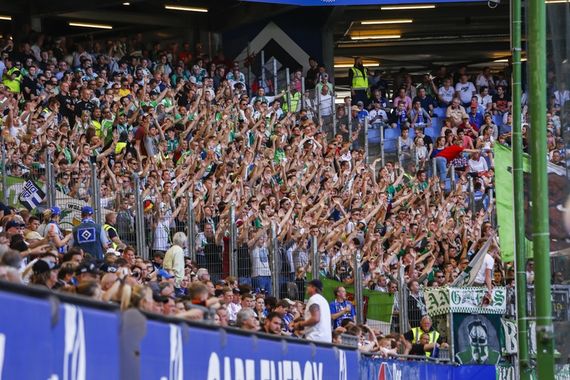 Hamburger SV vs VfL Wolfsburg (0-1) (3)
