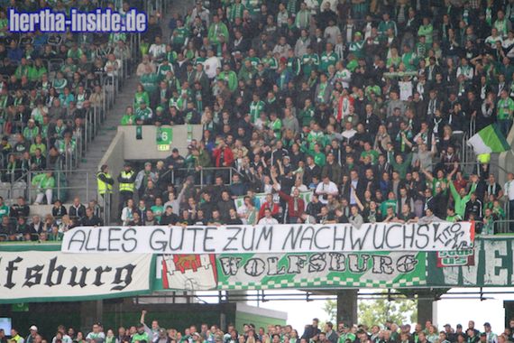 VfL Wolfsburg vs Hertha BSC (2-0) (11)