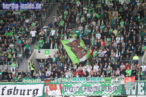 VfL Wolfsburg vs Hertha BSC (2-0) (15)