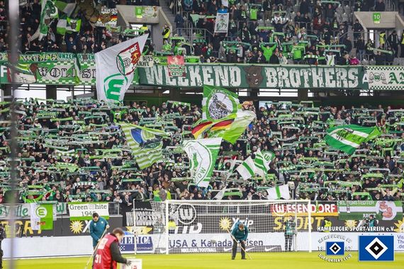 VfL Wolfsburg vs Hamburger SV (1-0) (1)