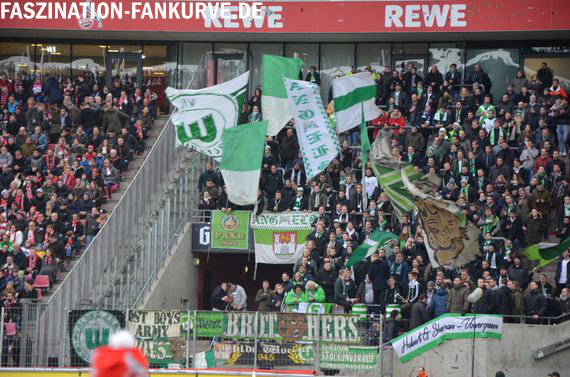 1. FC Köln vs VfL Wolfsburg (1-0) (3)