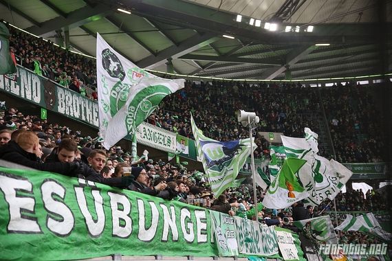 VfL Wolfsburg vs TSG Hoffenheim (2-1) (8)