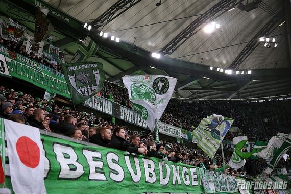 VfL Wolfsburg vs TSG Hoffenheim (2-1) (9)